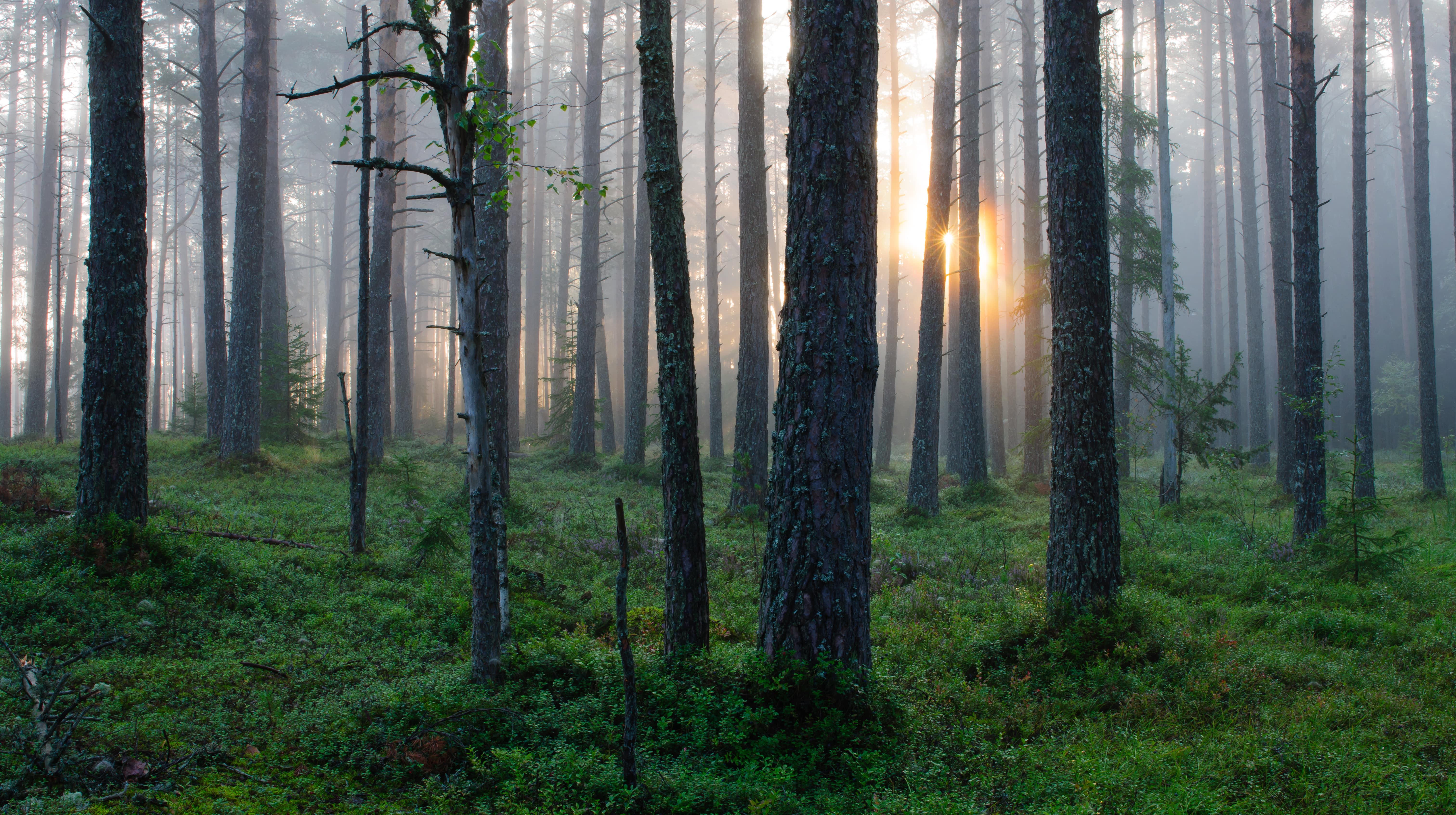 Nature calendar and activity guide