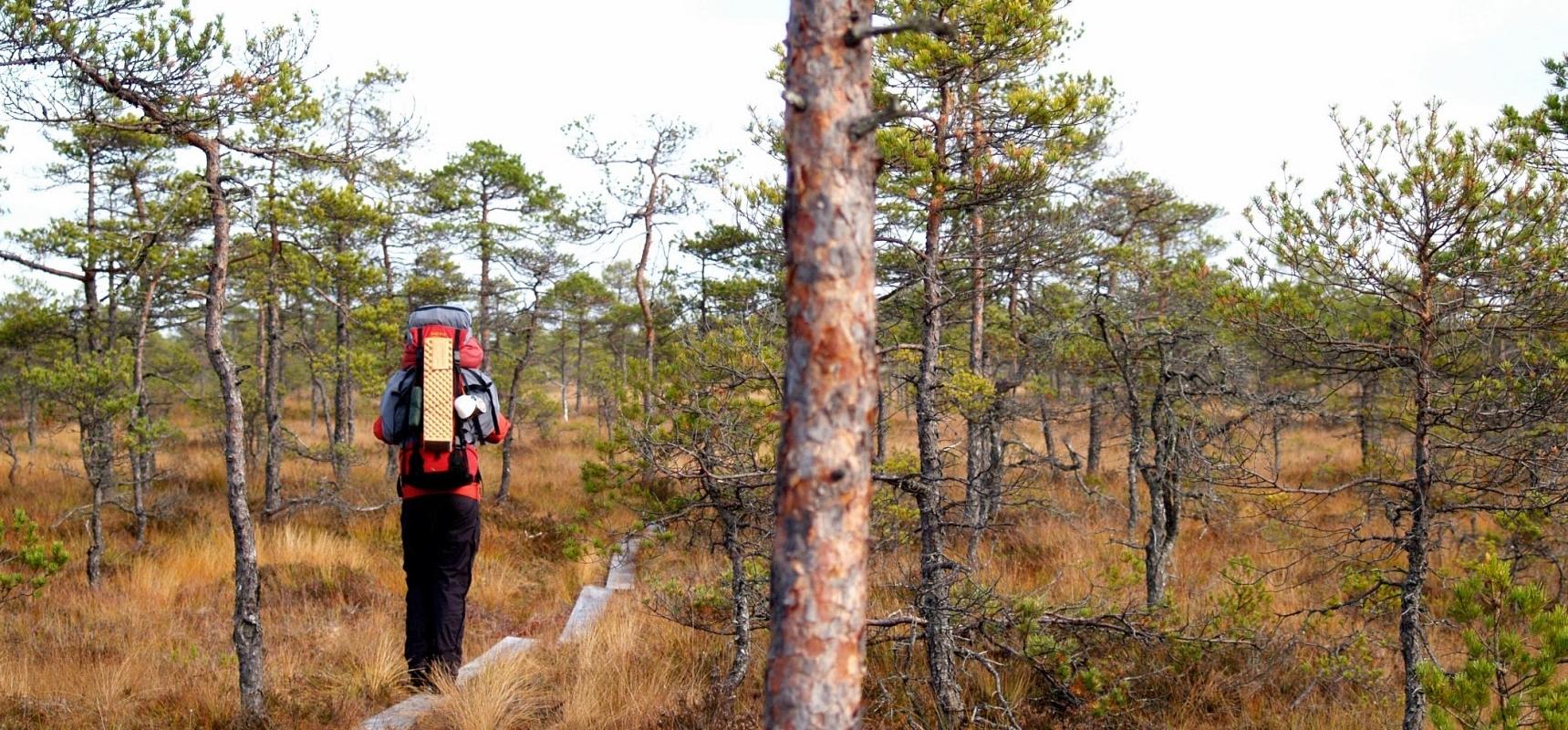 Peraküla – Aegviidu – Ähijärve hiking trail
