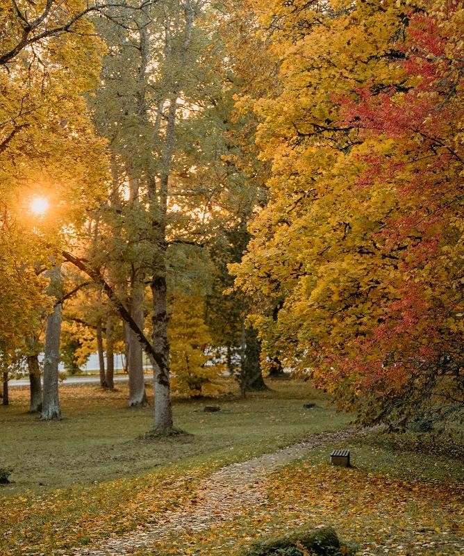 Kuremaa Castle and Park
