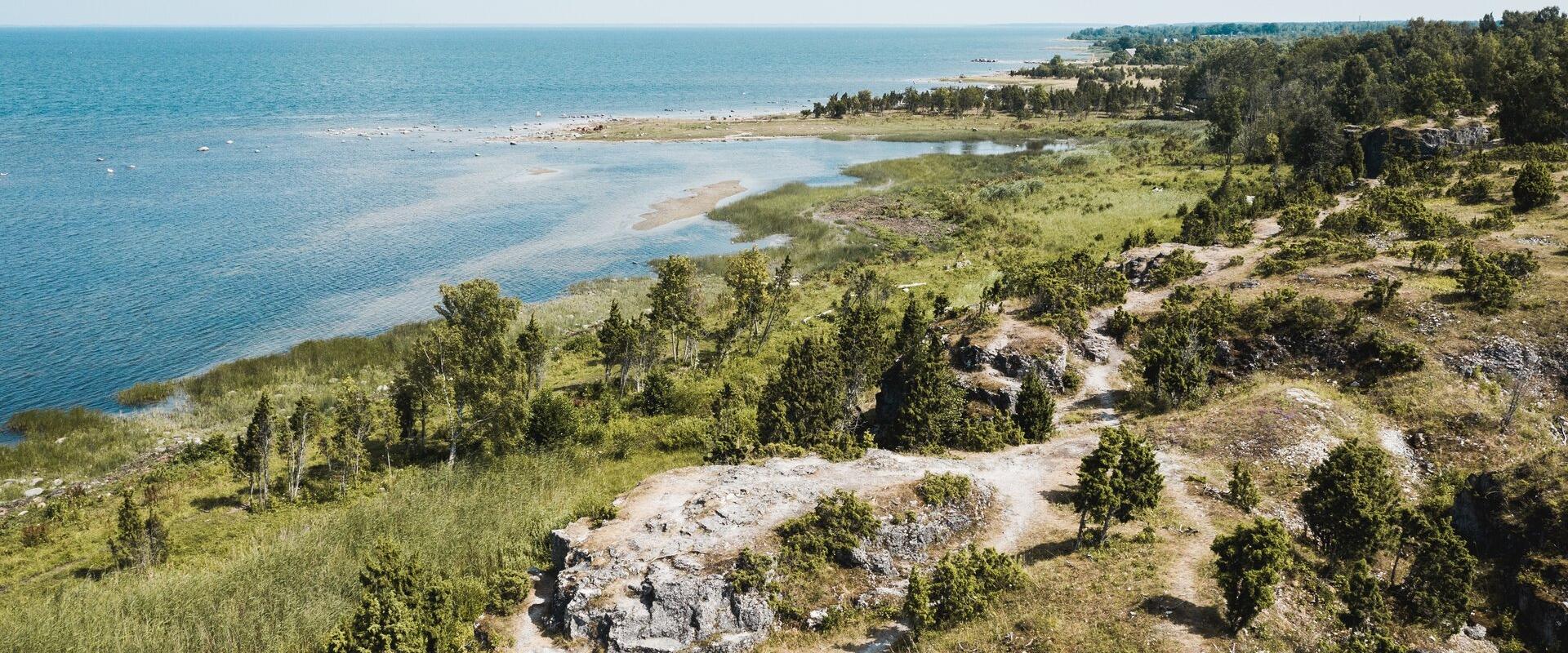 Üügu bluff