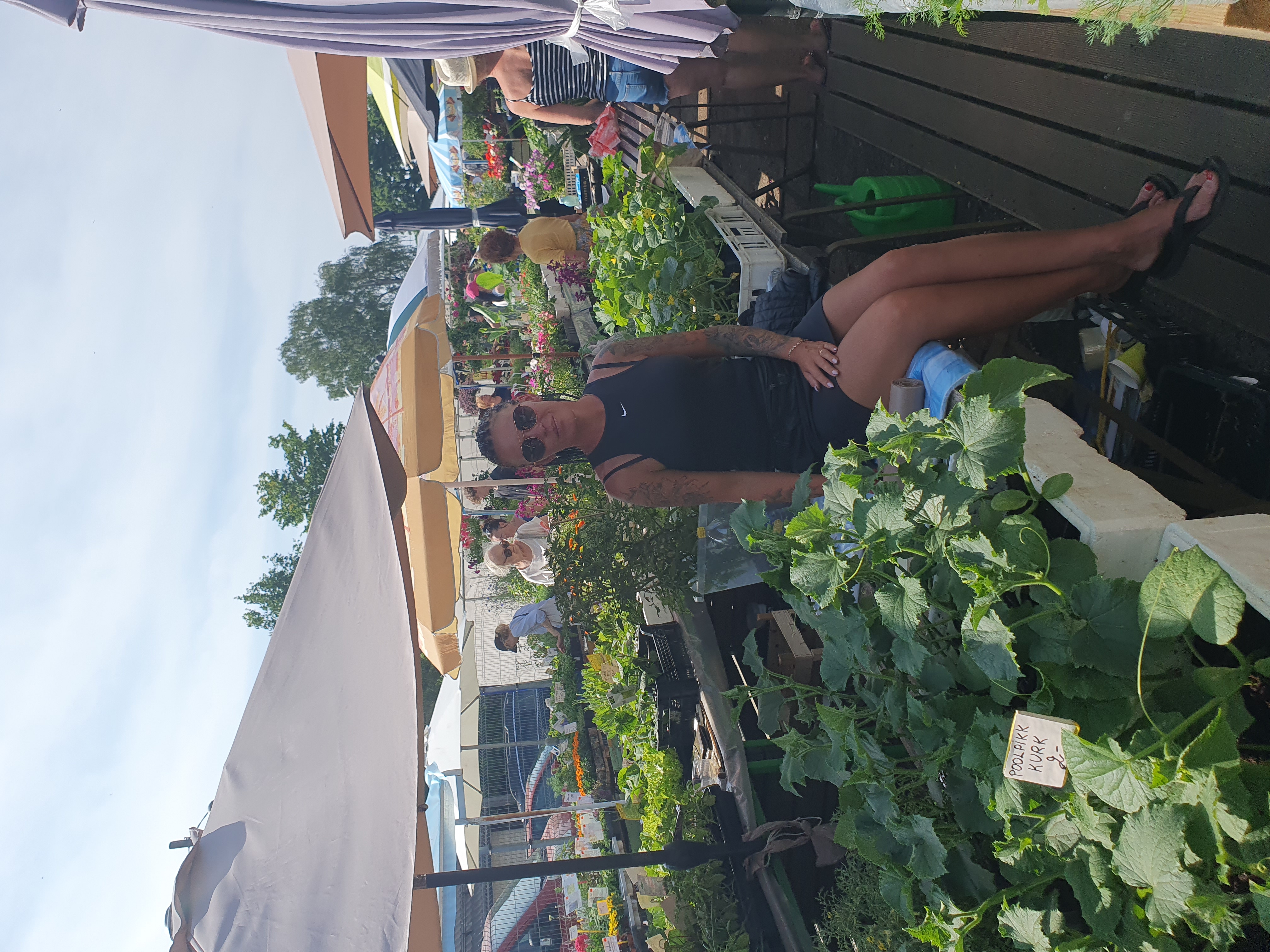 Plants